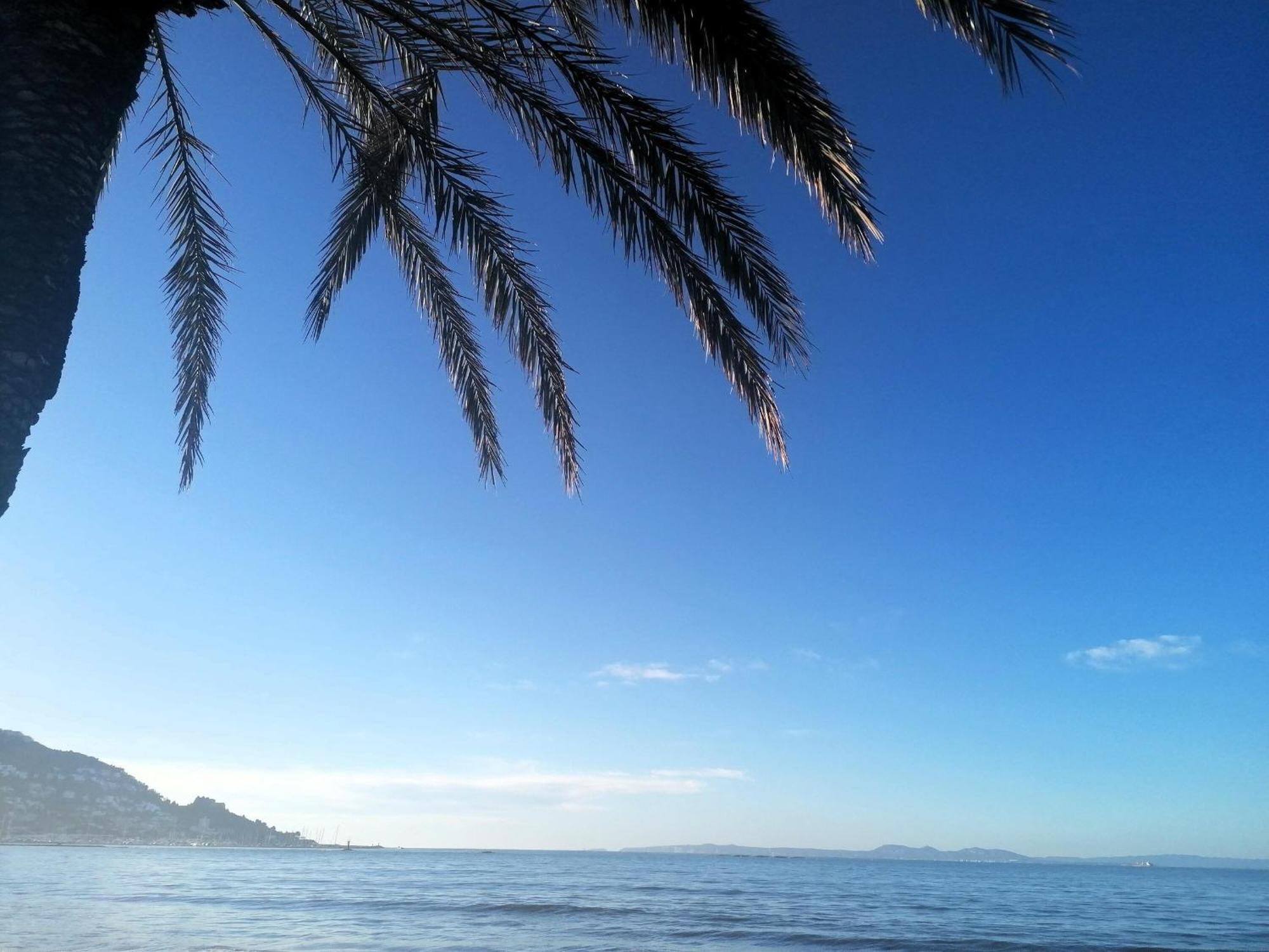 3390 Maritim B 1-a. A Primera Linea De Mar, En Corazon Mismo De A Tocar De La Playa - Es-258-147 Appartement Roses